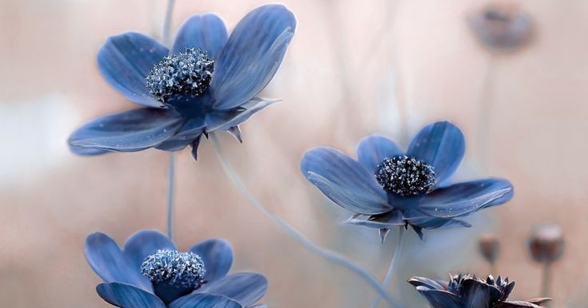 スピリチュアルは呼吸 Tomoの魂おっぴろげブログ